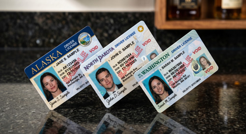 drivers license generator